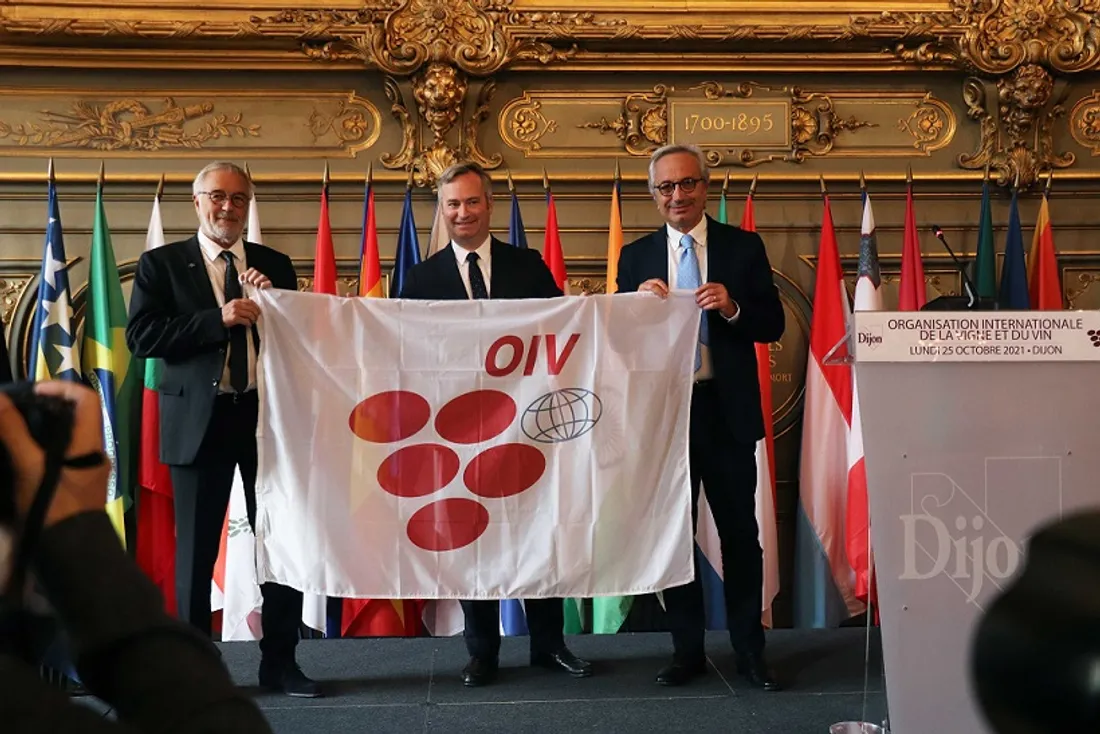 L’OIV a validé lundi lors d’une assemblée générale le transfert de son siège de Paris vers Dijon